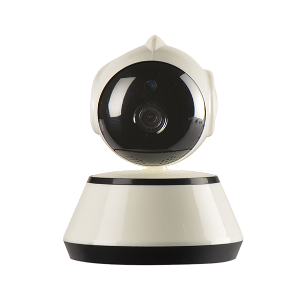 Vestibulum ante ipsum primis - Image 3