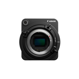 Aenean non pellentesque mauris