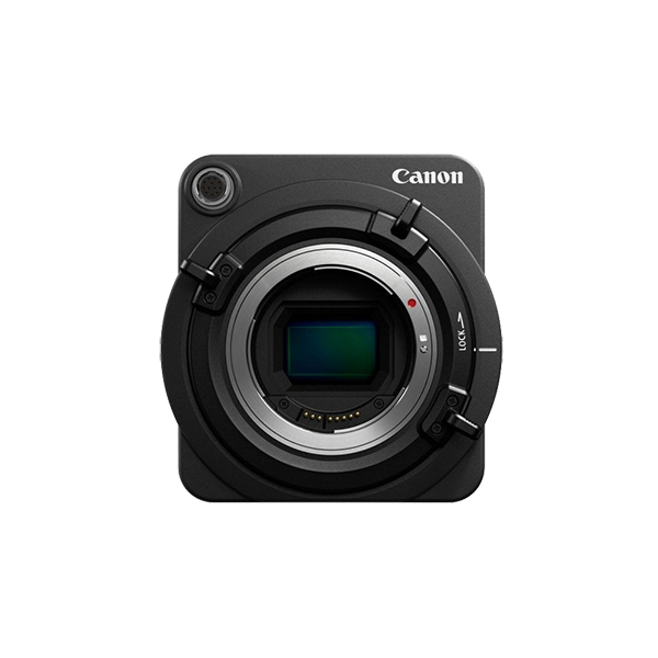 Vestibulum ante ipsum primis - Image 2